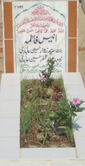 2699 – ANEES FATIMA