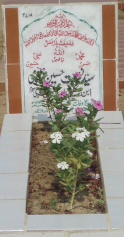 2719 – Syed Nusraat Hussain Naqvi