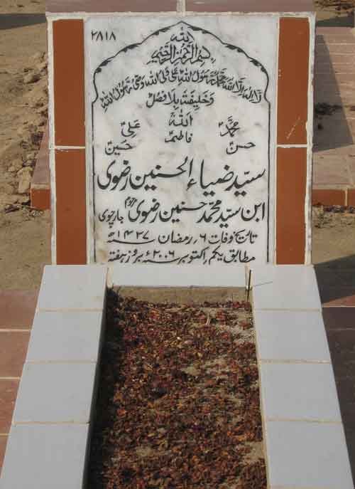 2818 – Syed Zai ul Hasinain Rizvi