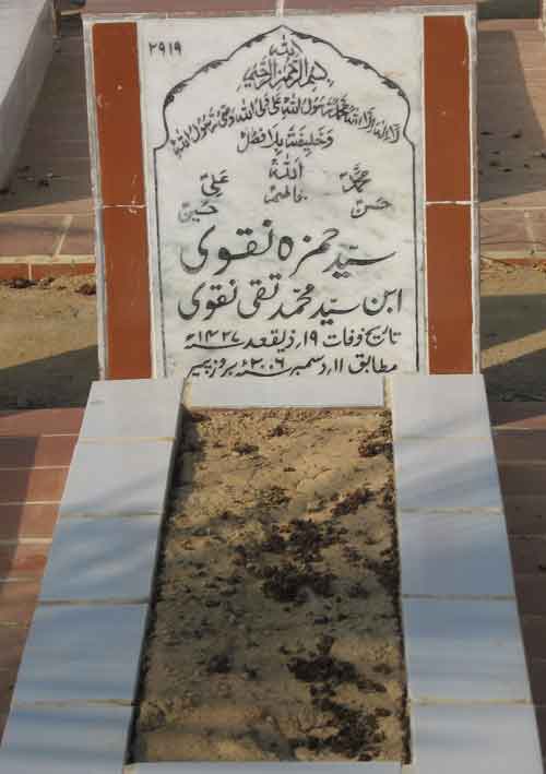 2919 – Syed Hamza Naqvi