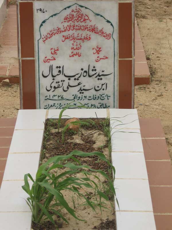 2970 – Syed Shah Zaib Iqbal