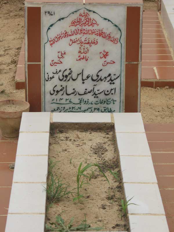 2971 – Syed Mehdi Abbas Rizvi