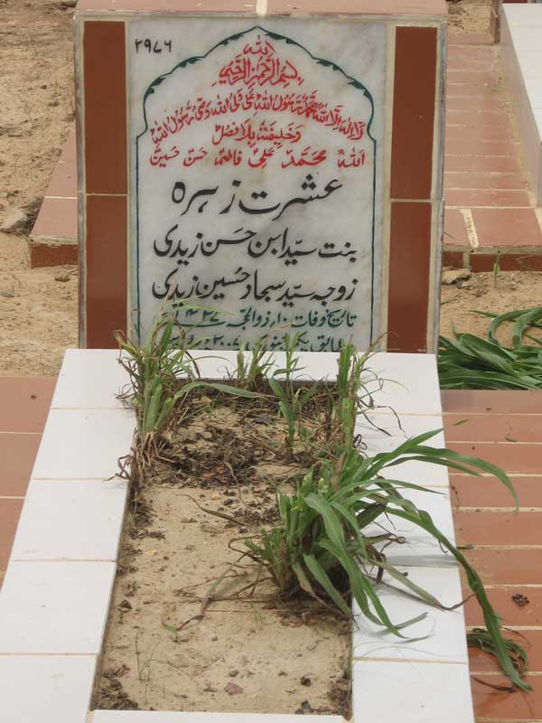 2976 – Ishrat Zehra