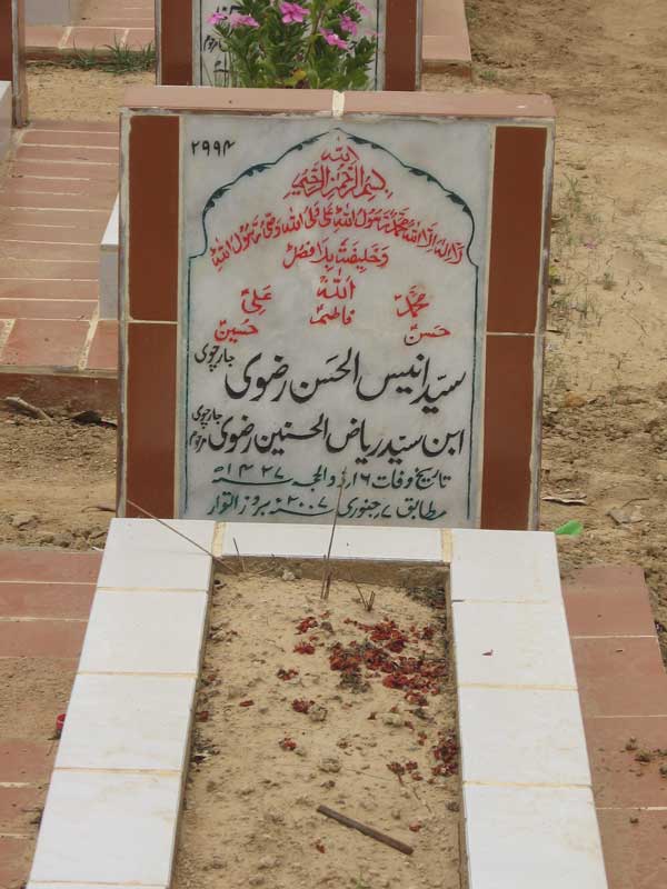 2994 – Syed Anees Ul Hasan Rizvi Jachvi