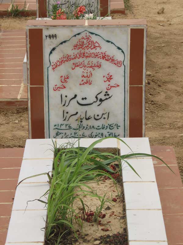 2999 – Shaukat Mirza