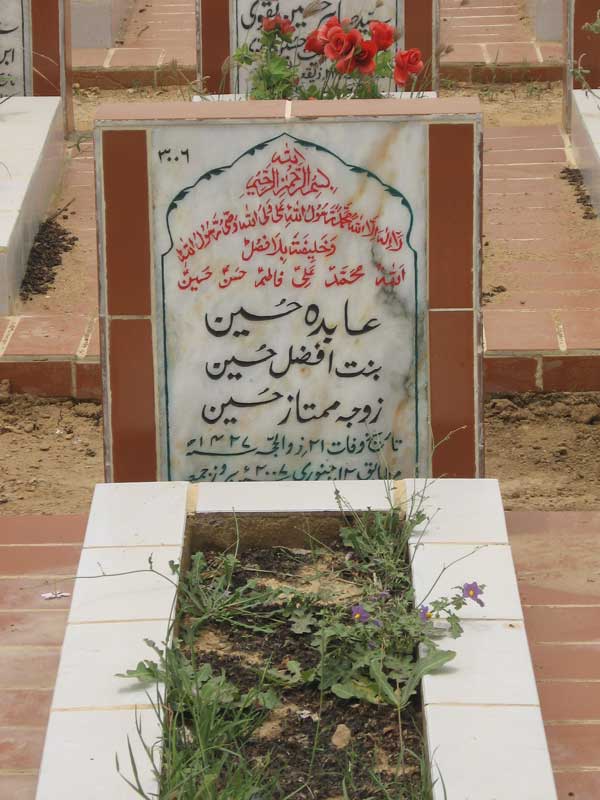 3006 – Abida Hussain