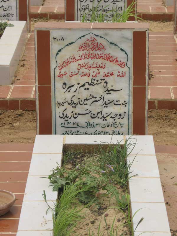 3008 – Syeda Tanzeem Zehra