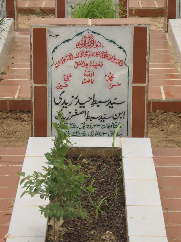 3013 – Syed Sibt e Haider Zaidi