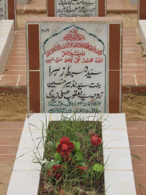 3016 – Syeda Sibt e Zehra