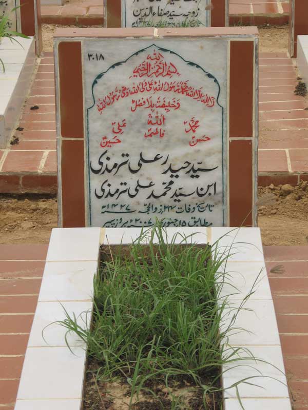 3018 – Syed Haider Ali Tamreezi