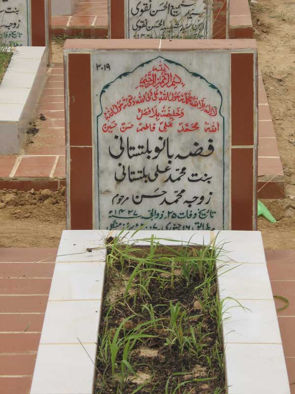 3019 – Fizza Bano Biltistani