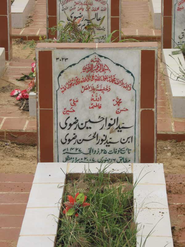 3023 – Syed Anwar Hussain Rizvi