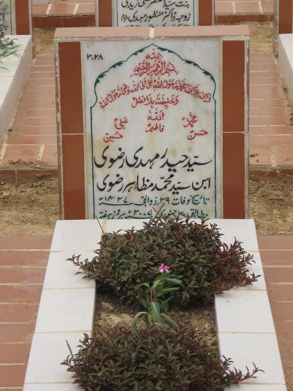 3028 – Syed Haider Mehdi Rizvi