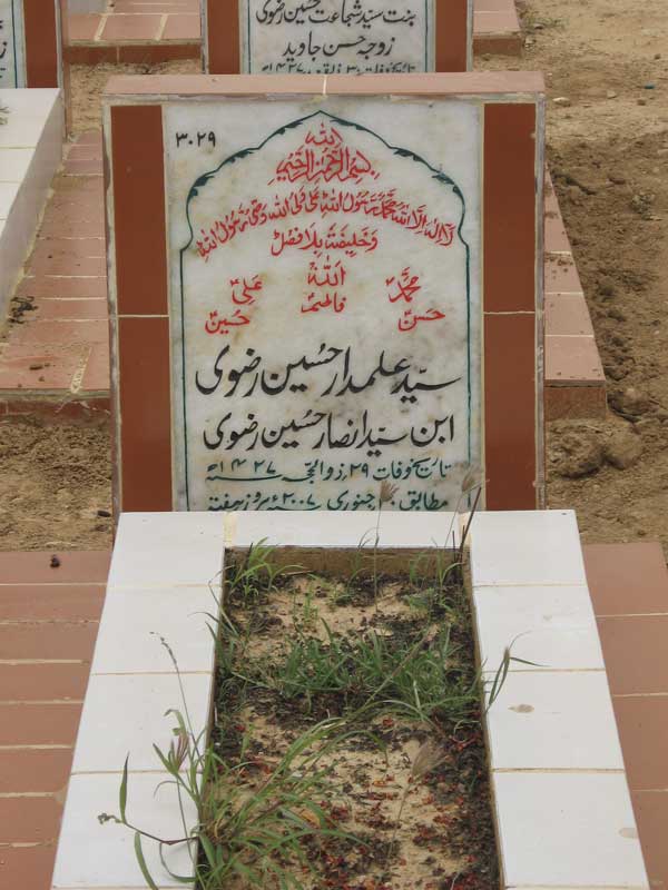 3029 – Syed Alamdar Hussain Rizvi