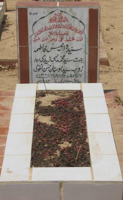 3034 – Syeda Anees Fatima