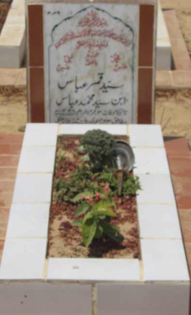 3039 – Syed Qamar Abbas