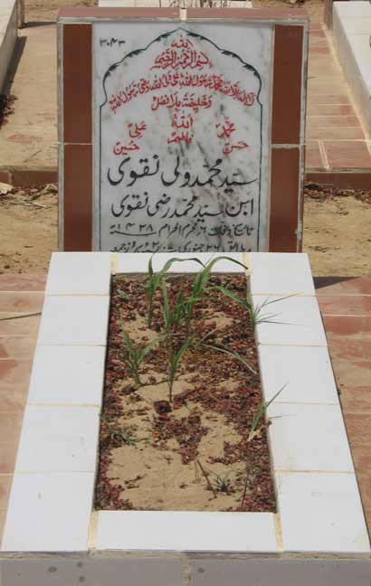 3043 – Syed Muhammad Wali Naqvi