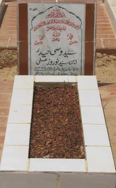 3053 – Syed Wasi Haider