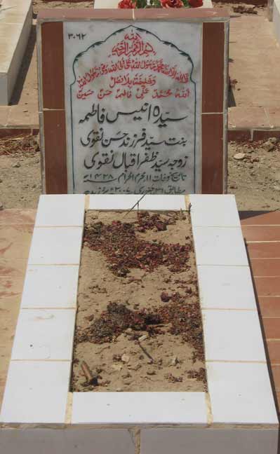 3062 – Syeda Anees Fatima