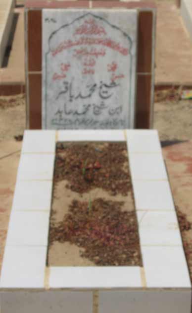 3067 – Shaikh Muhammad Baqar