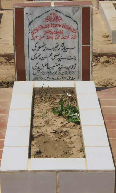 3071 – Syeda Razia Rizvi