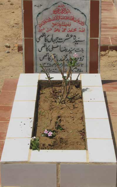 3074 – Syeda Ishraat Jahan Kazmi