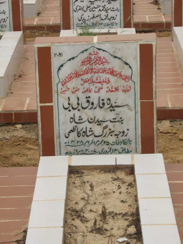 3091 – Syeda Farooq Bibi