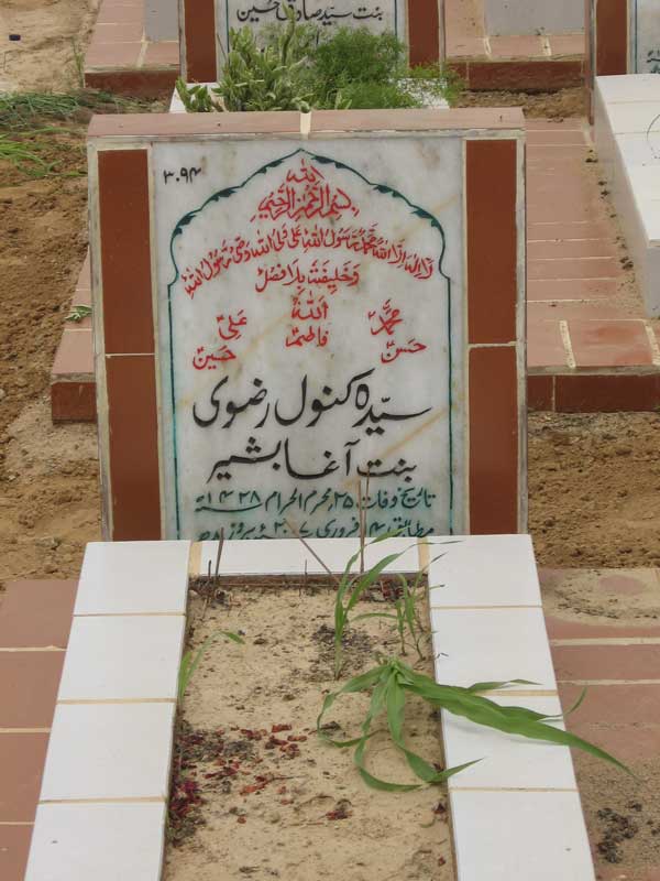 3094 – Syeda Kanwal Rizvi