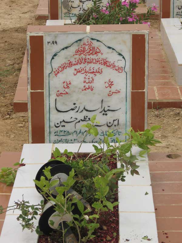 3099 – s. asad raza