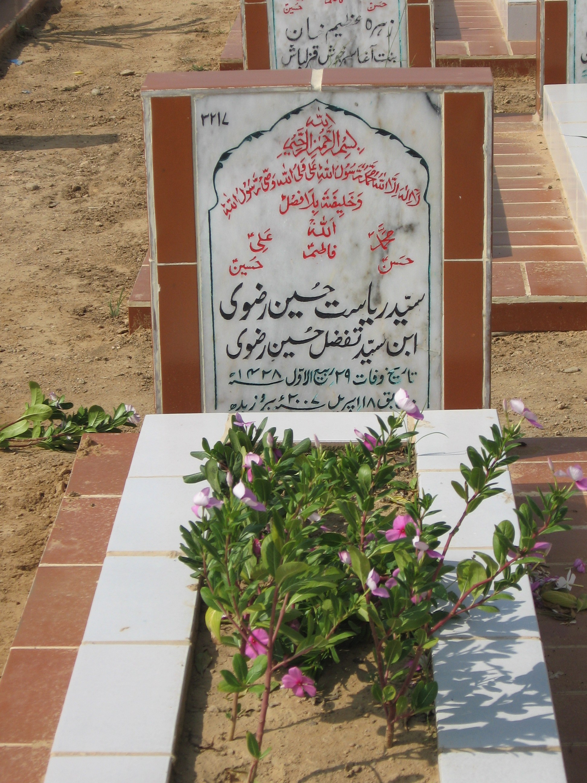 3217 – s. riyasat husain rizvi