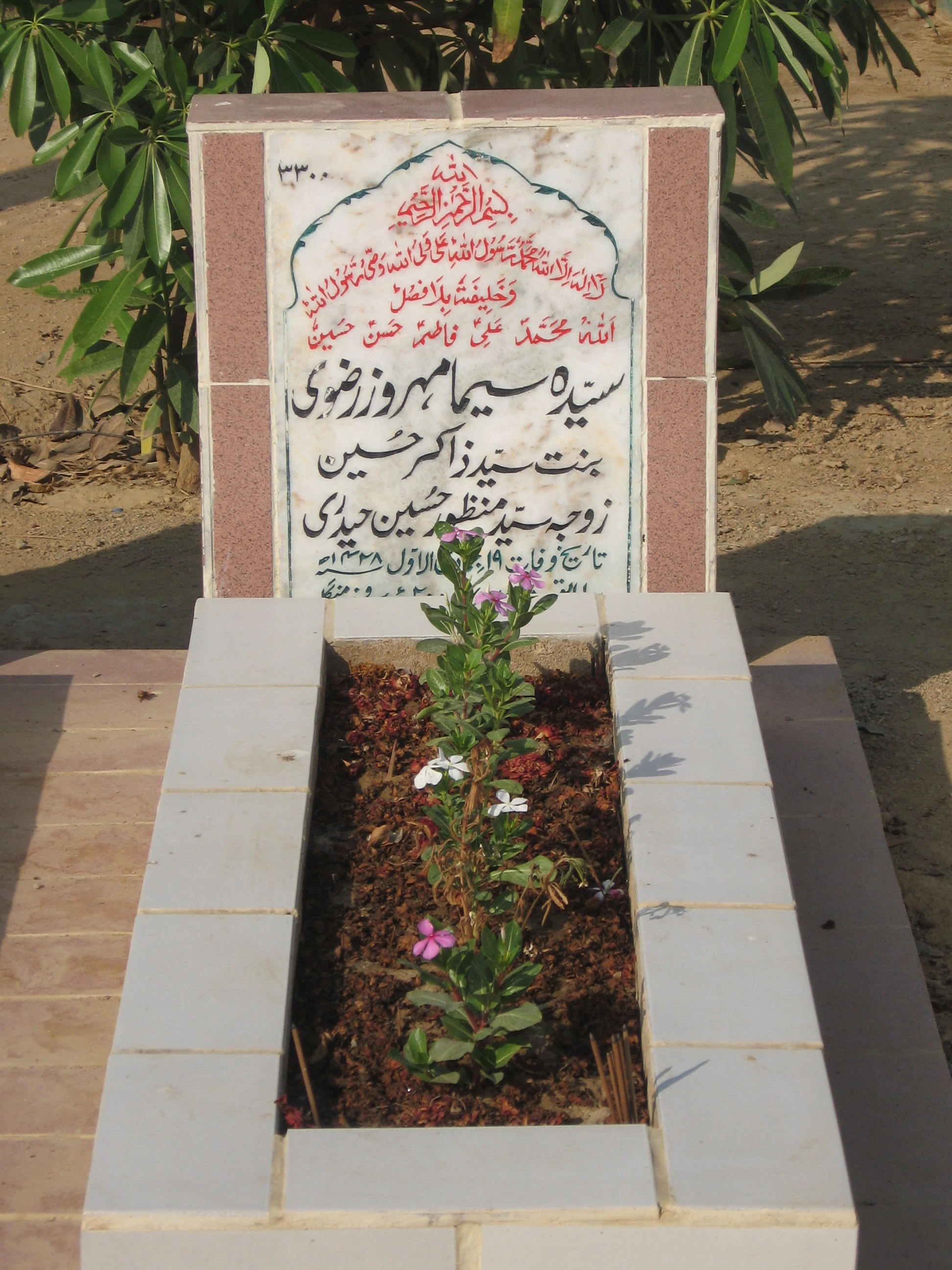 3300 – Syeda Seema Mehroz Rizvi