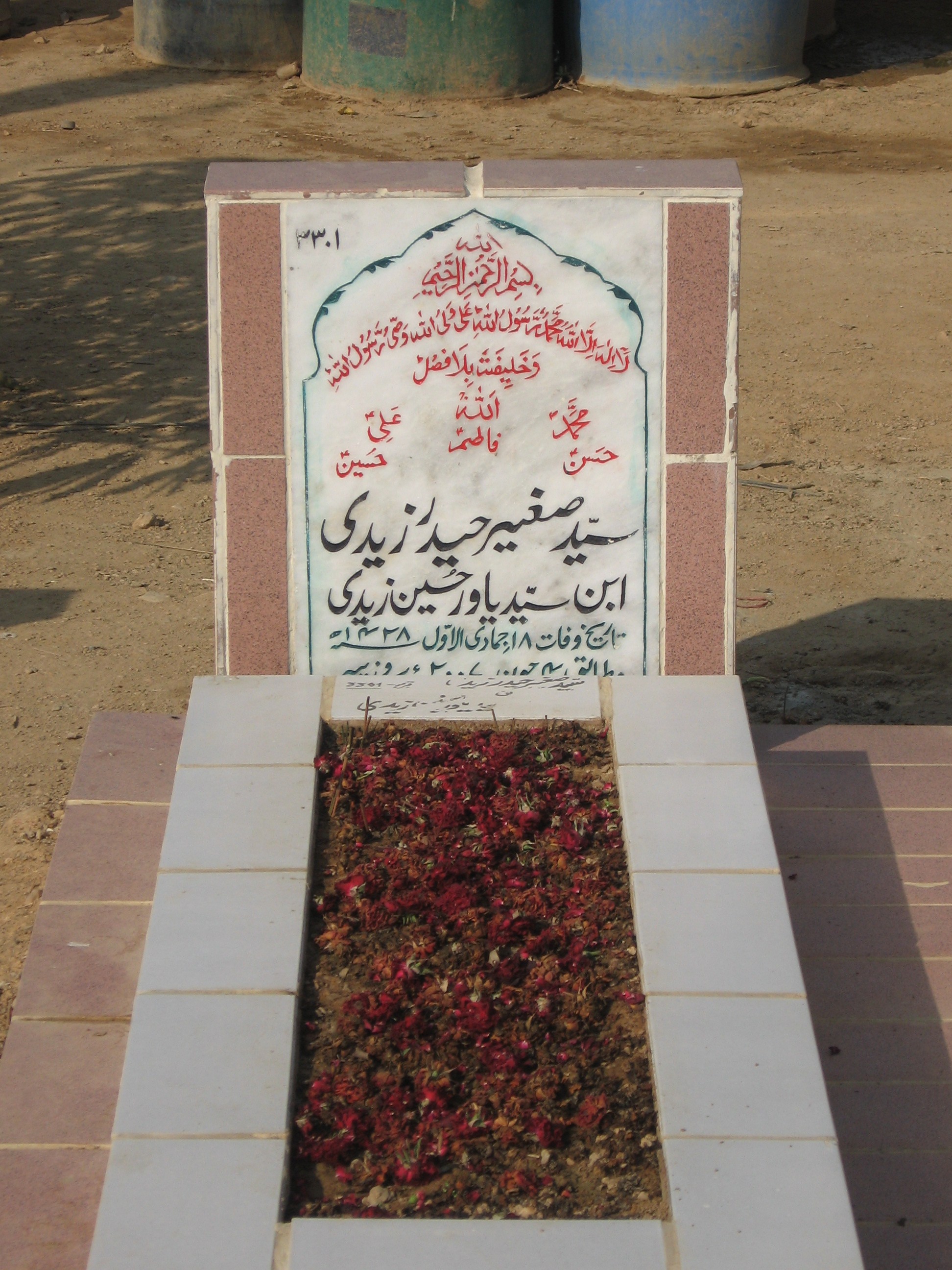 3301 – Syed Sagheer Hyder Zaidi