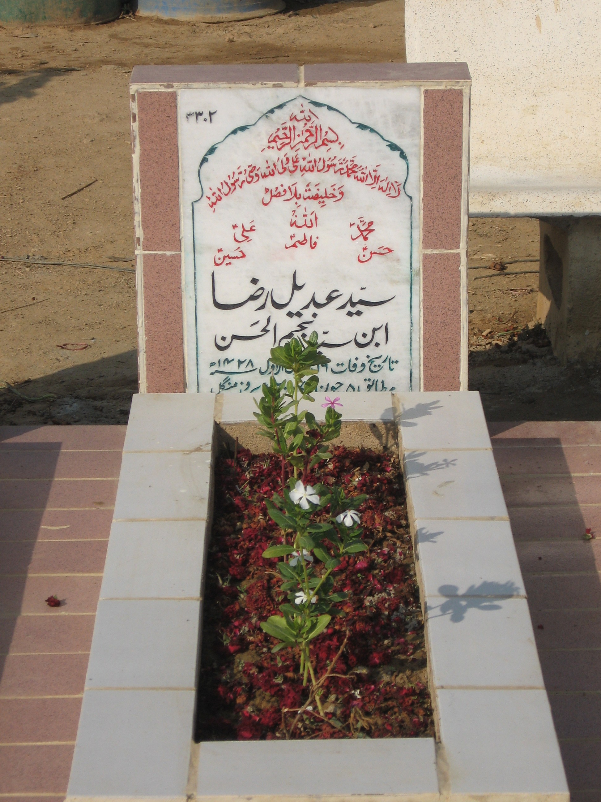 3302 – Syed Adeel Raza