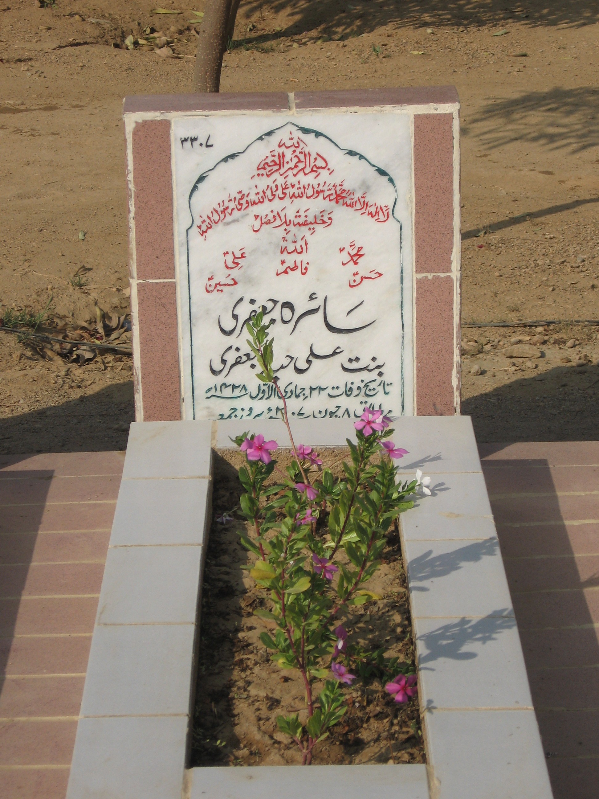 3307 – Saira Jaffari