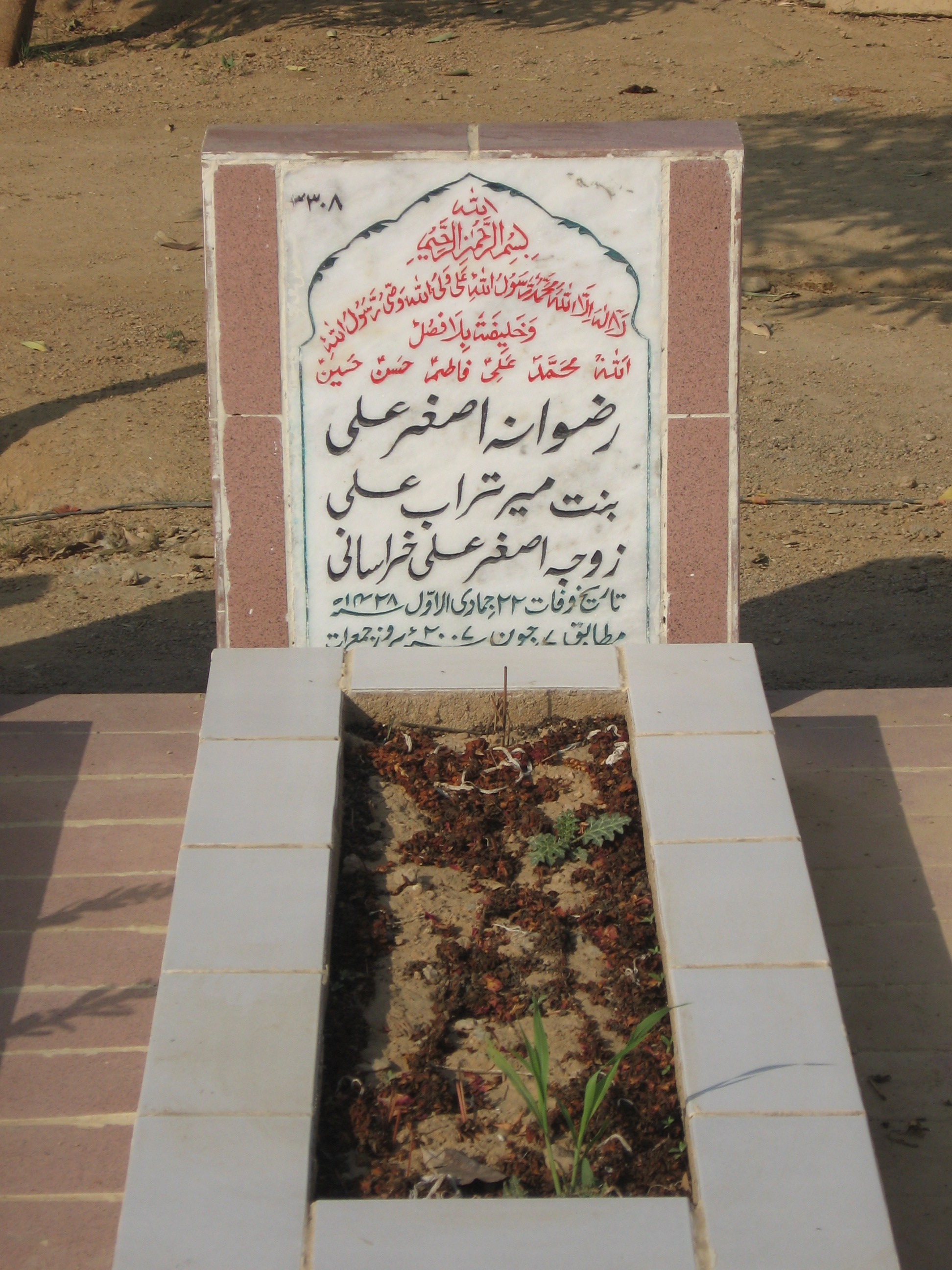 3308 – Rizwana Asghar Ali