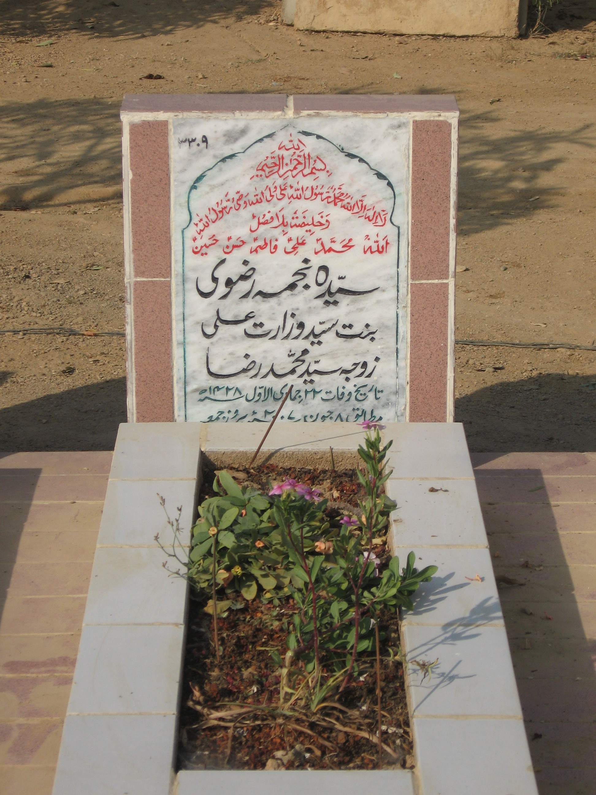 3309 – Syeda Najma Rizvi