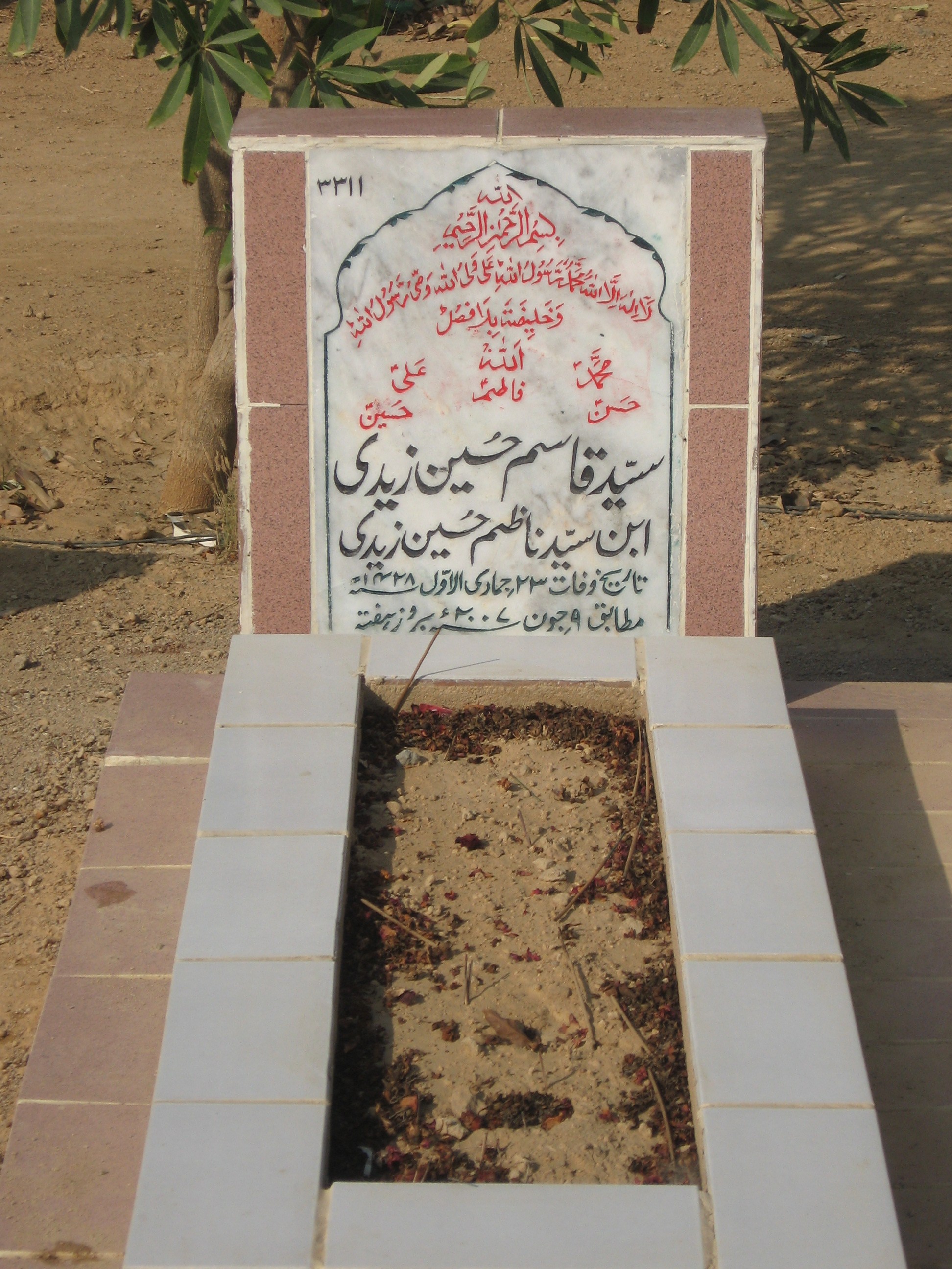 3311 – Syed Qasim Hussain Zaidi