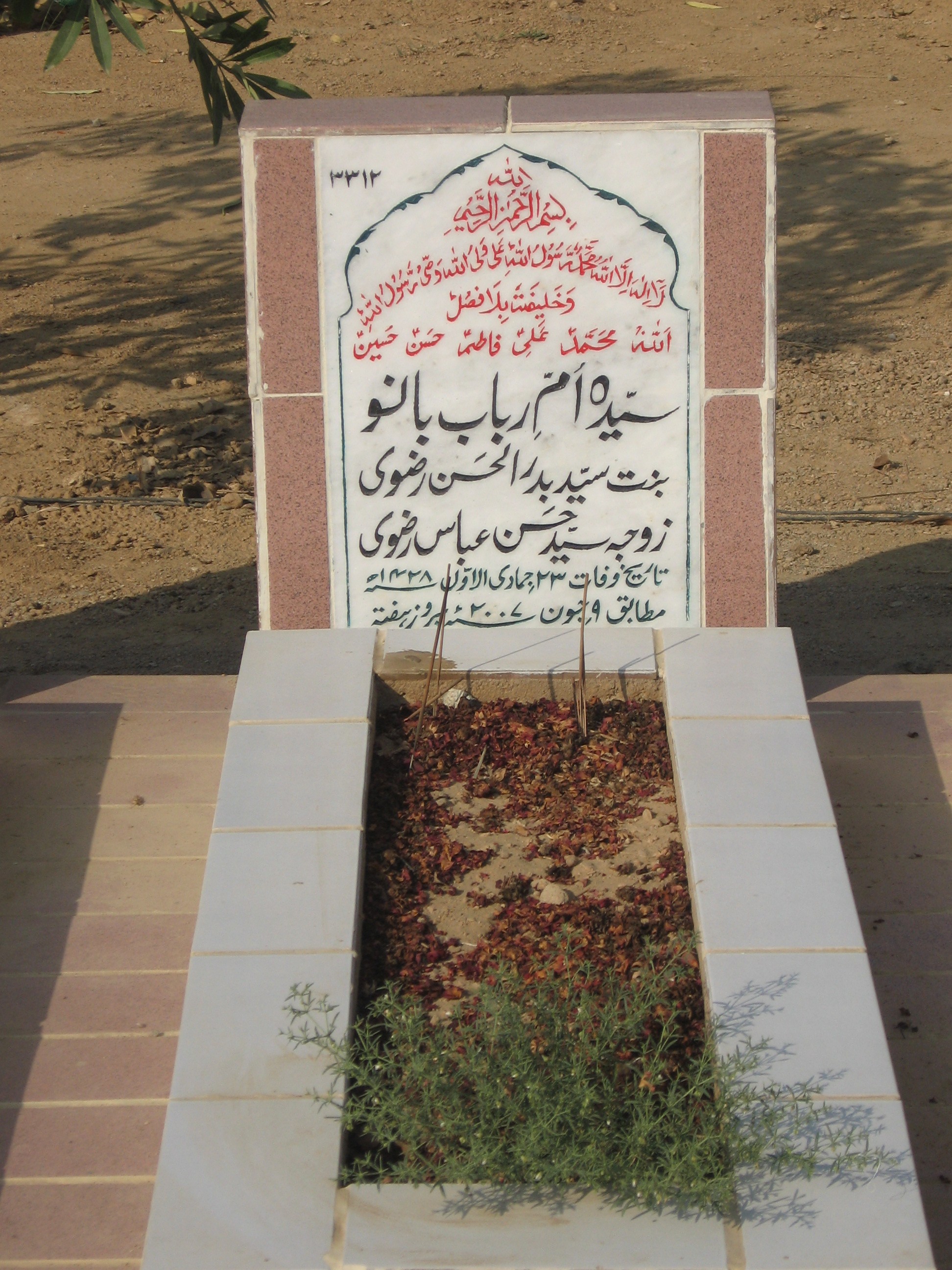 3312 – Syed Umme Rabab Bano
