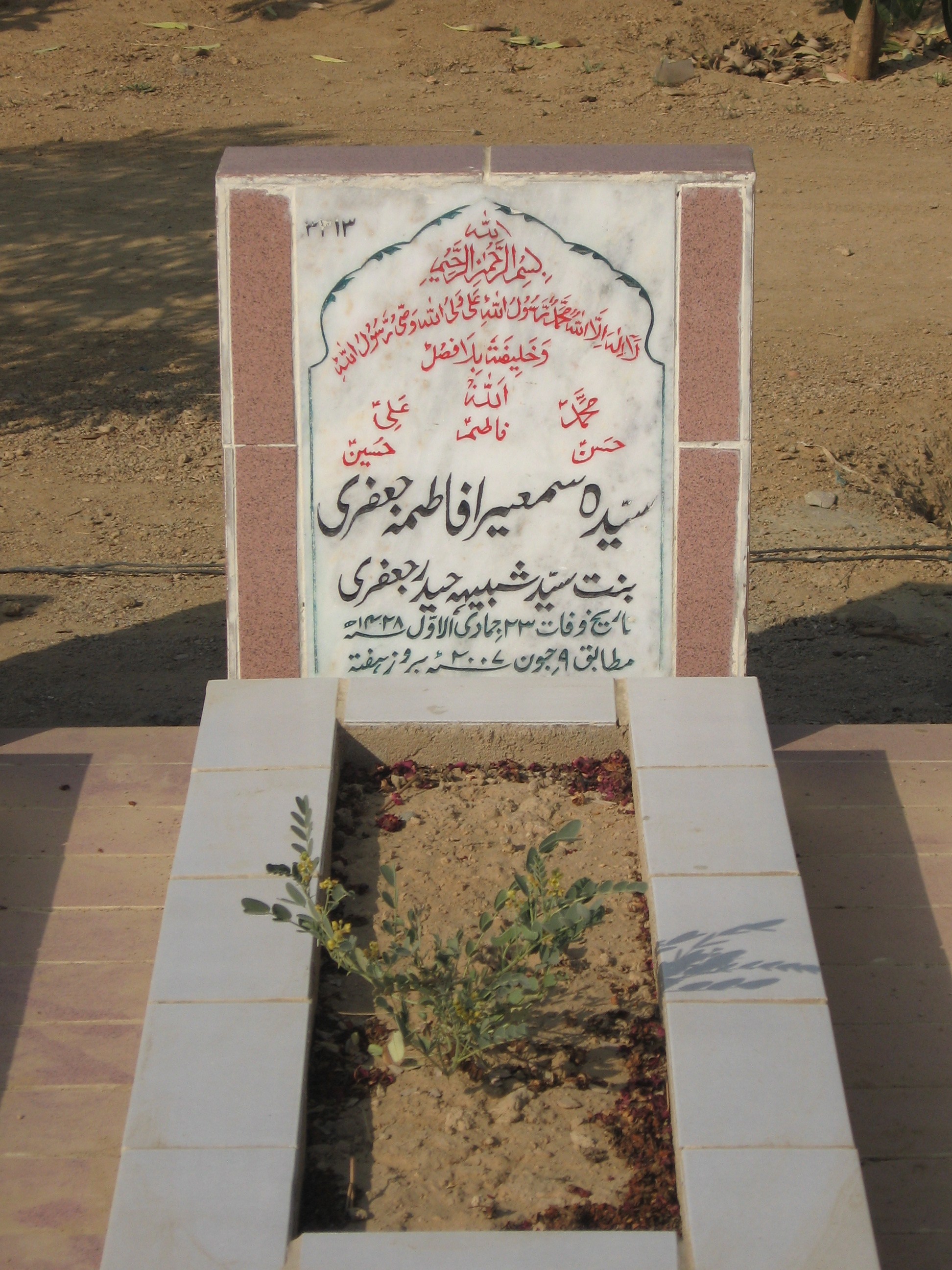 3313 – Syeda Sumera Fatima Jaffari