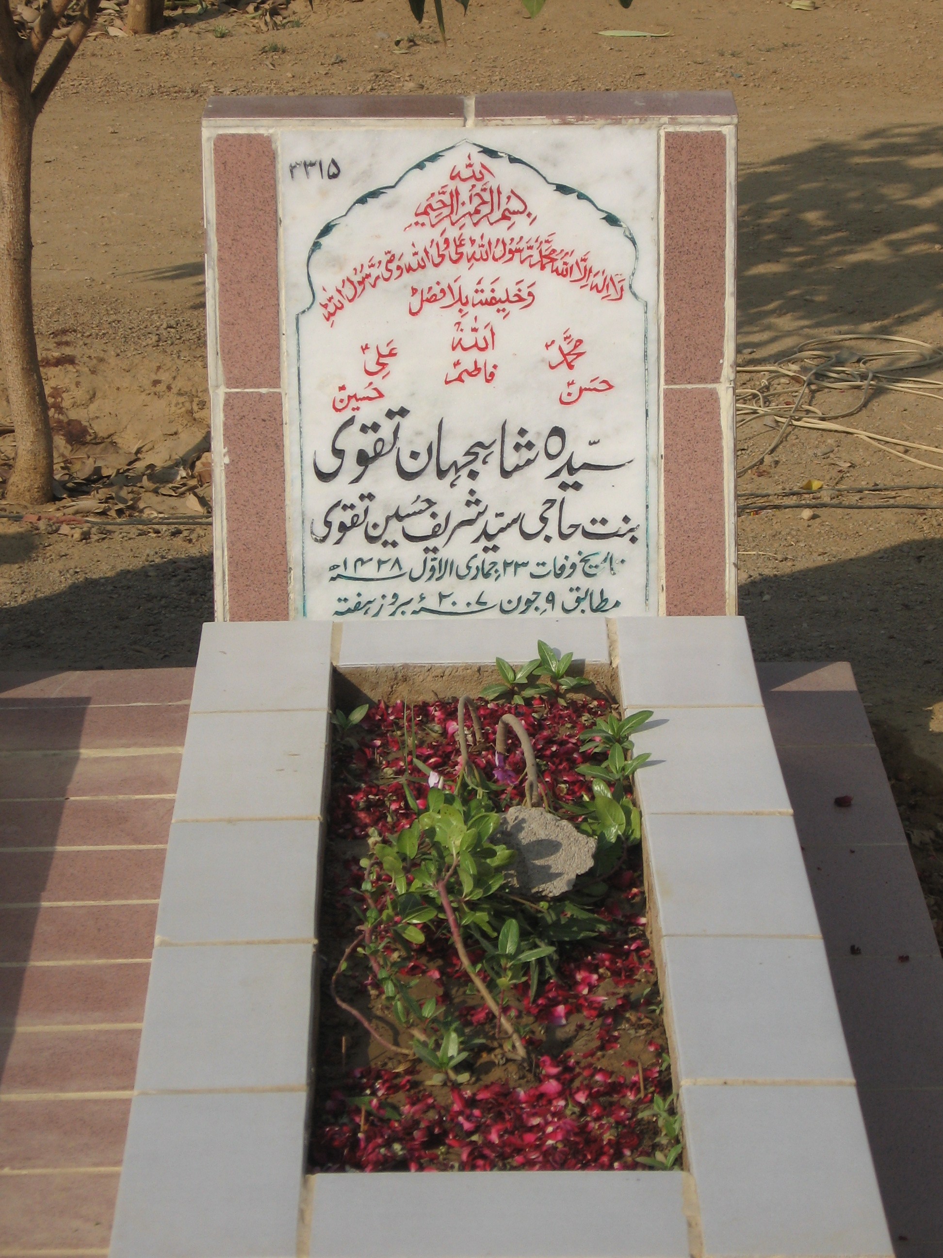 3315 – Syeda Shahjahan Taqvi