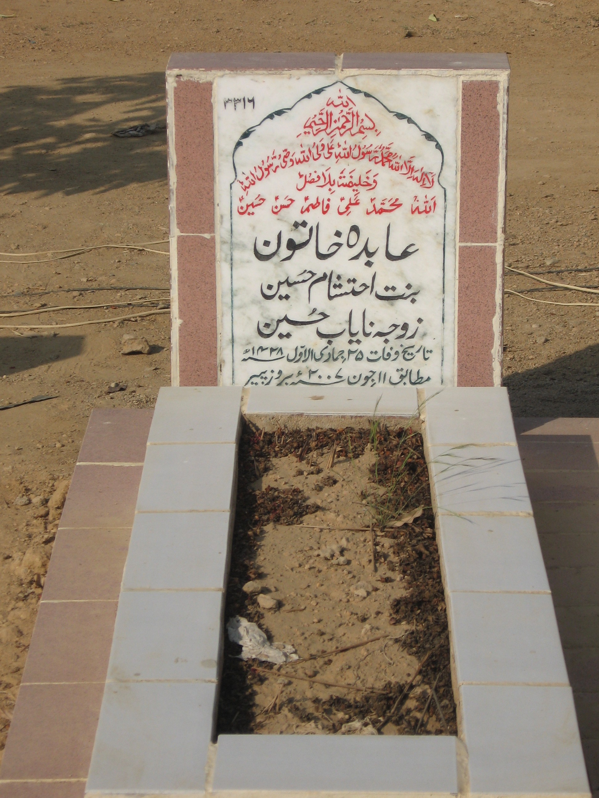 3316 – Abida Khatoon