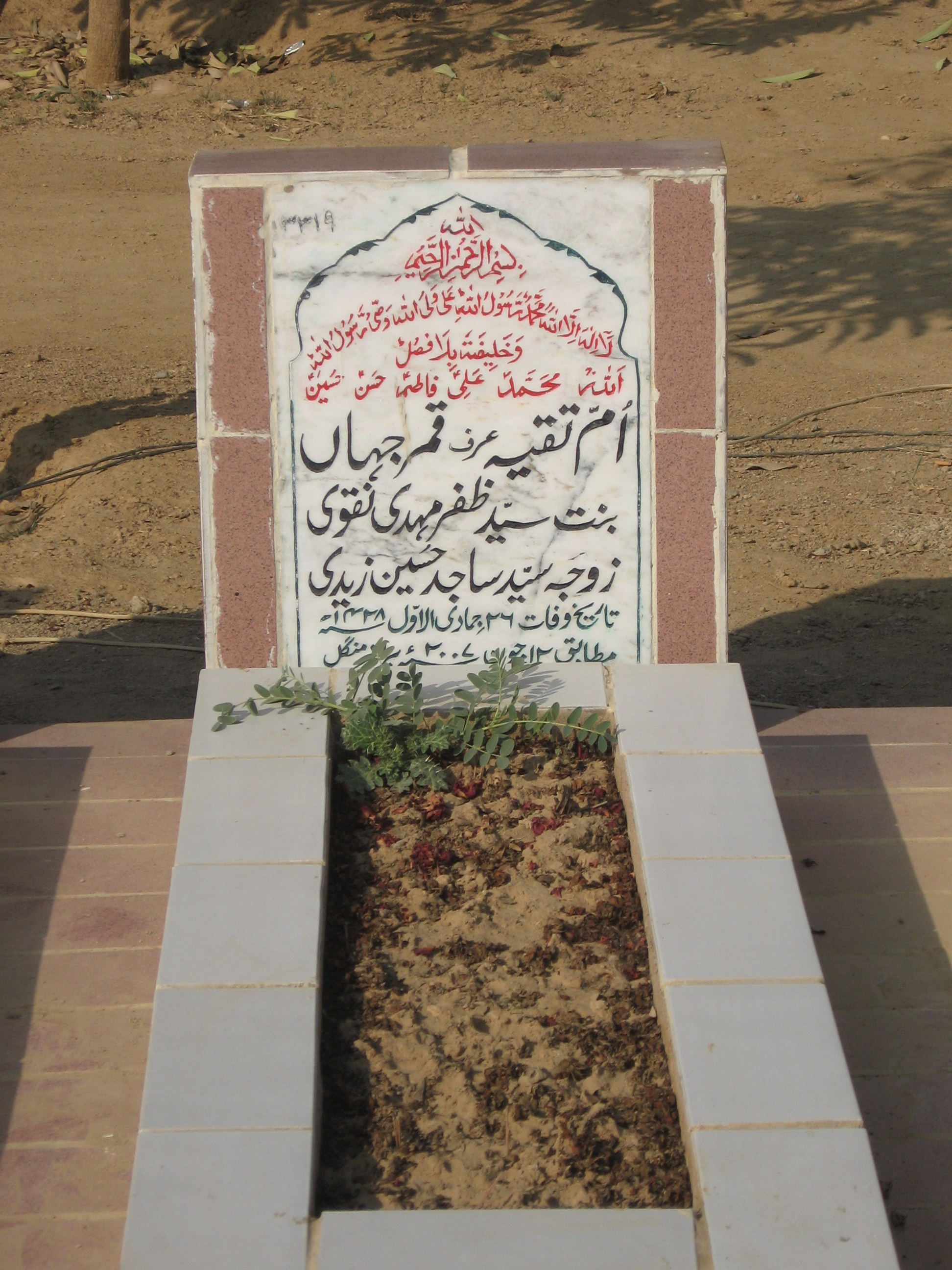 3319 – Umme Taqiya