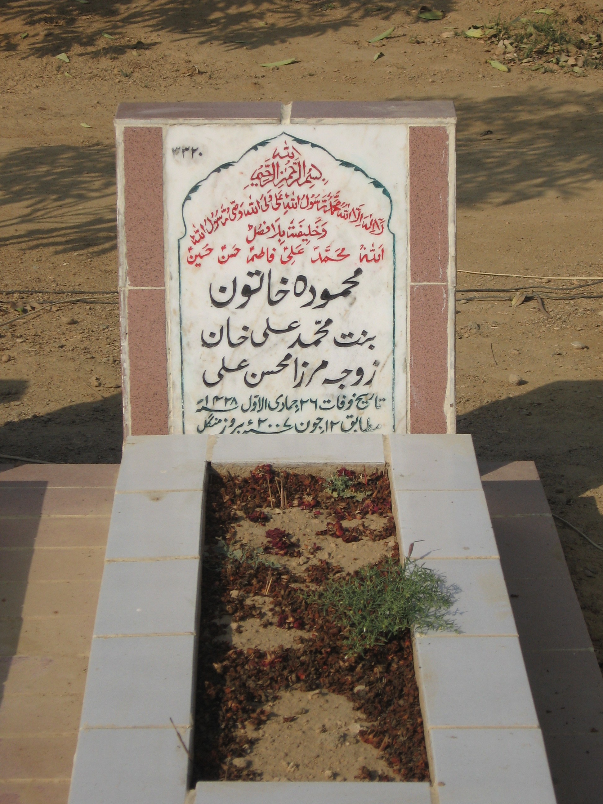 3320 – Mehmooda Khatoon