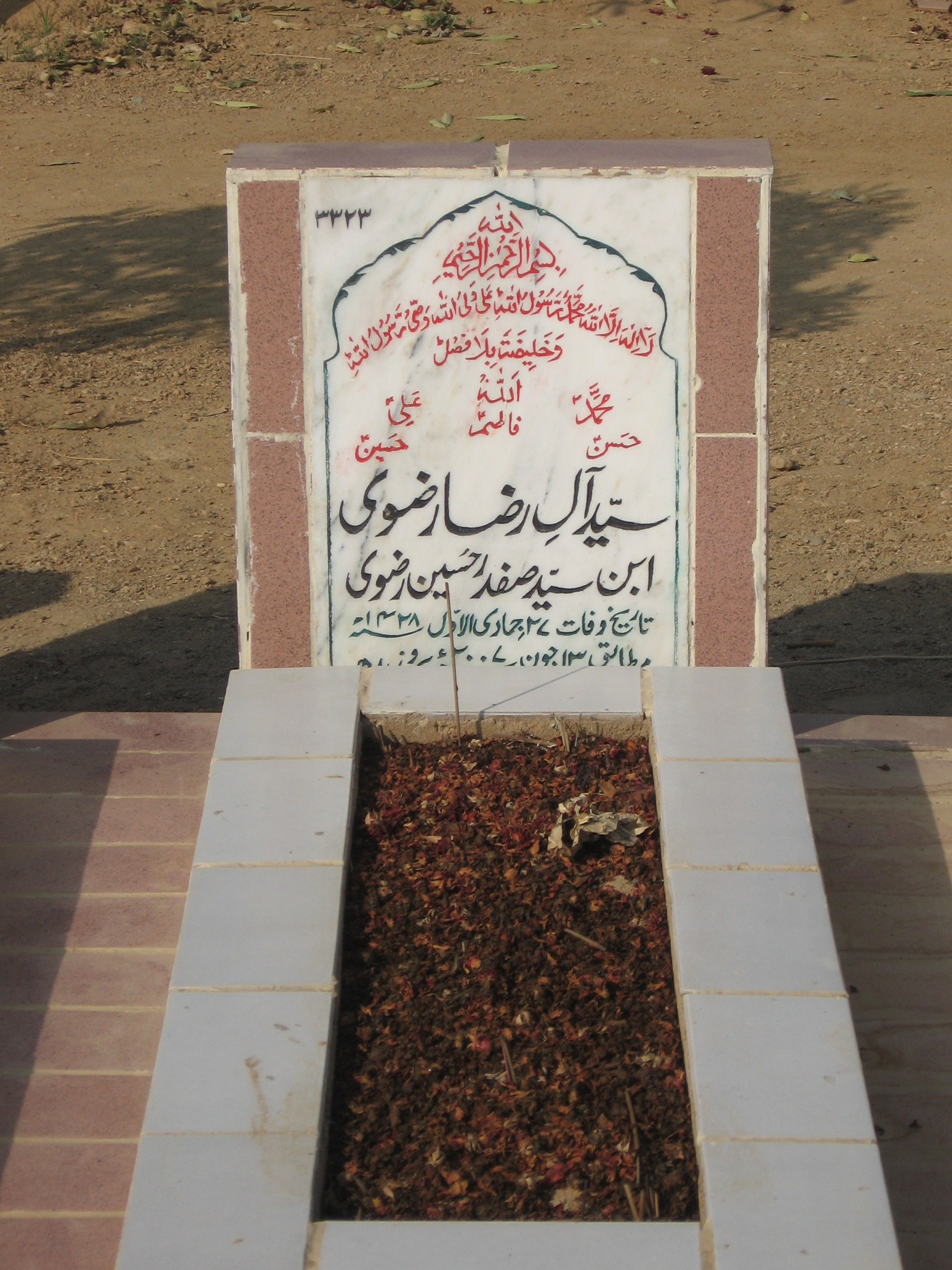 3323 – Syed Aly Raza Rizvi