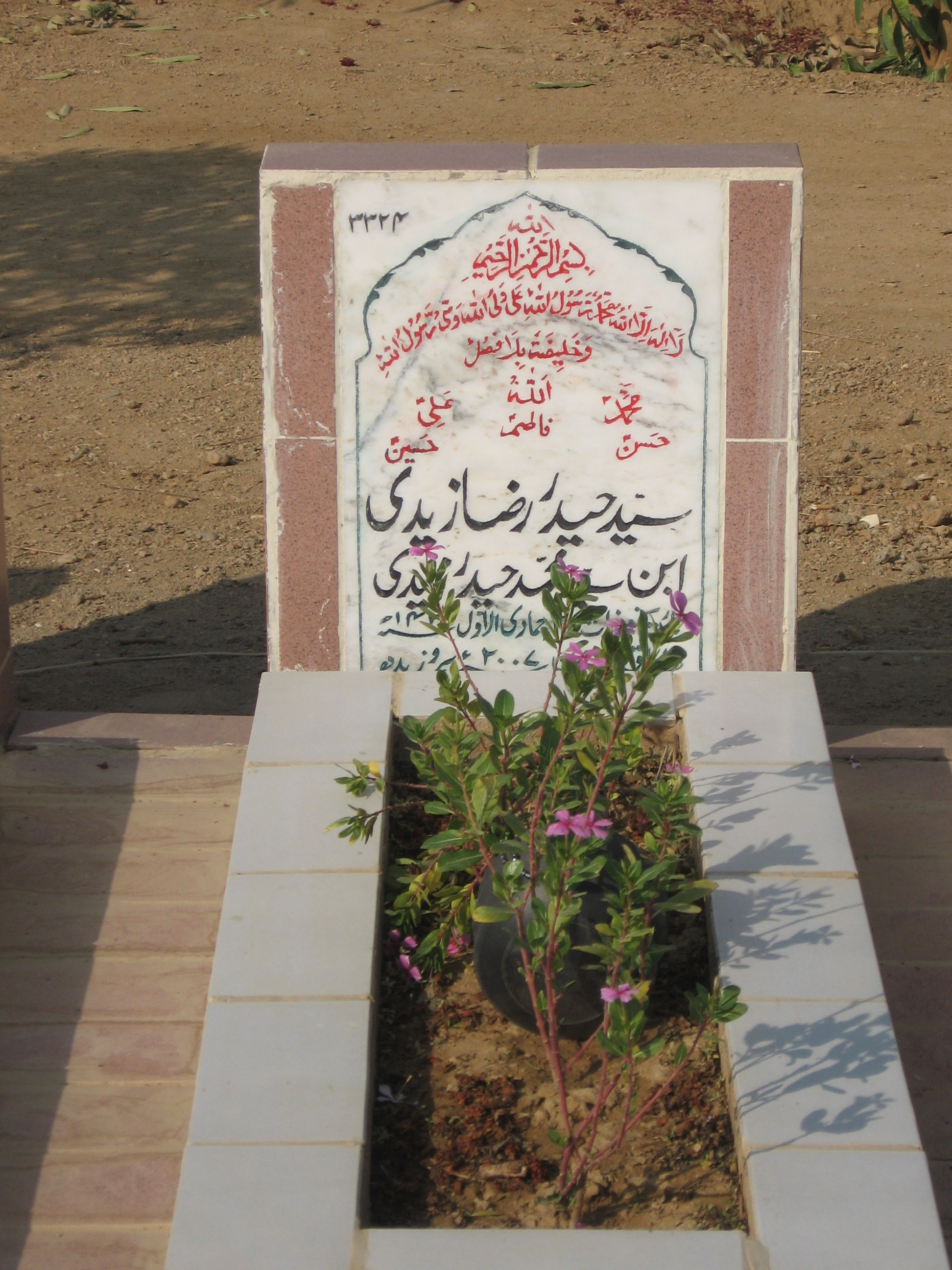 3324 – Syed Haider Raza Zaidi