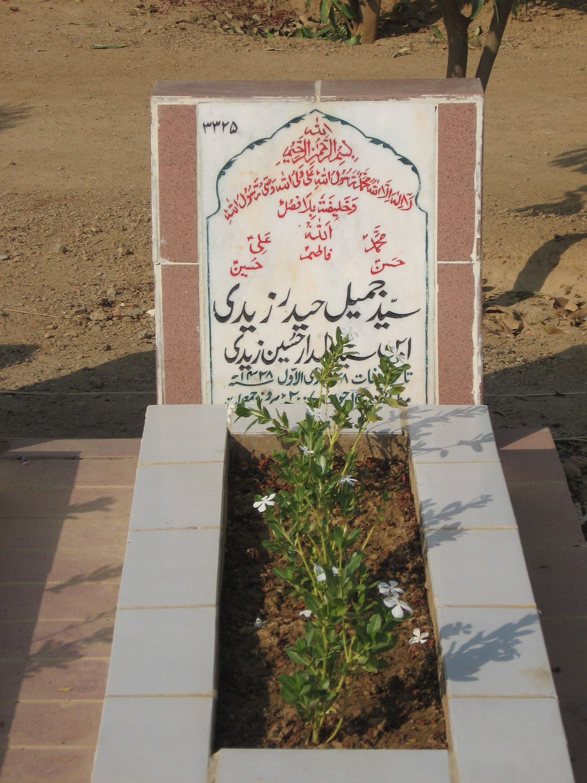 3325 – Syed Jameel Haider Zaidi