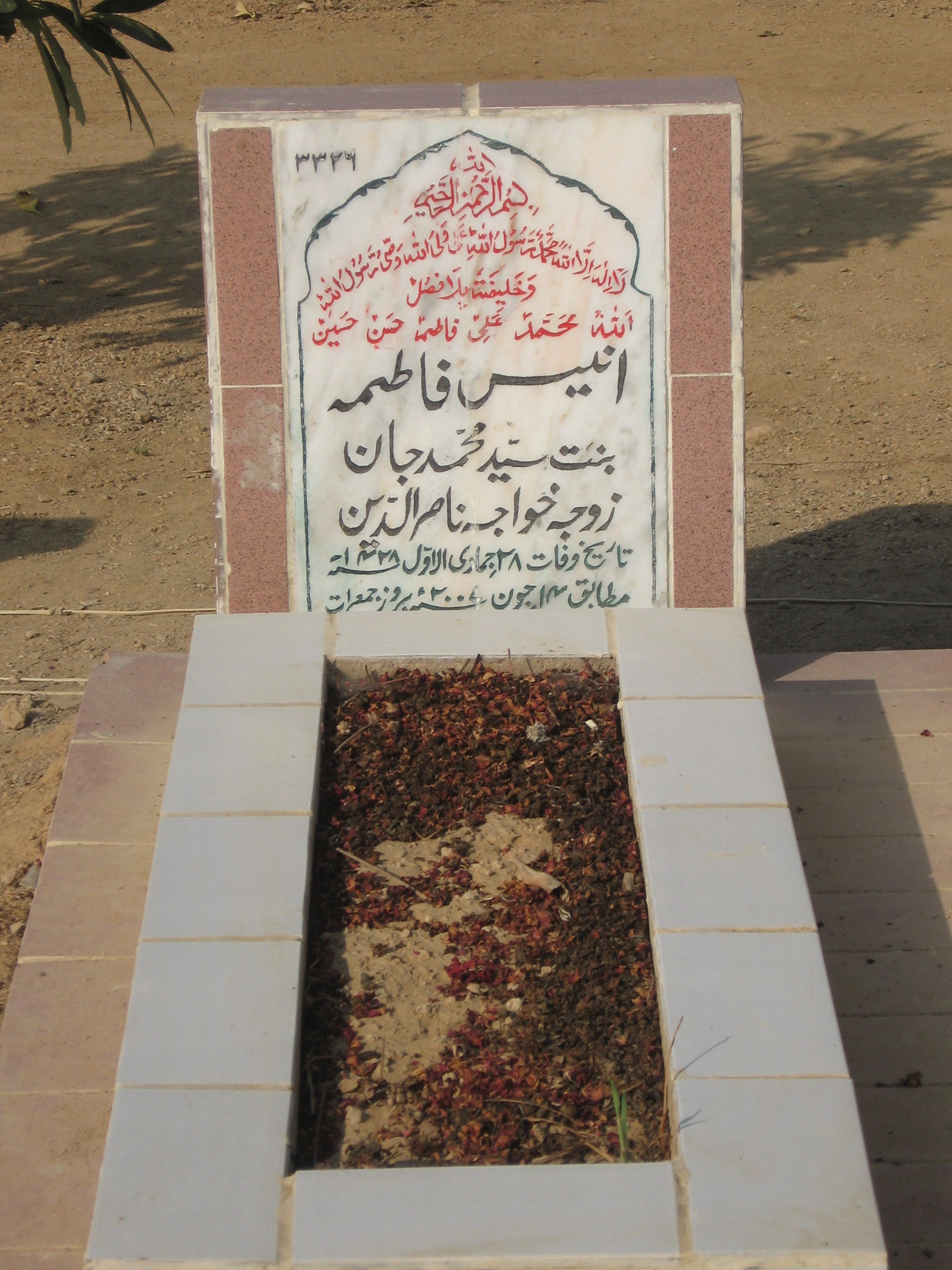 3326 – Anees Fatima