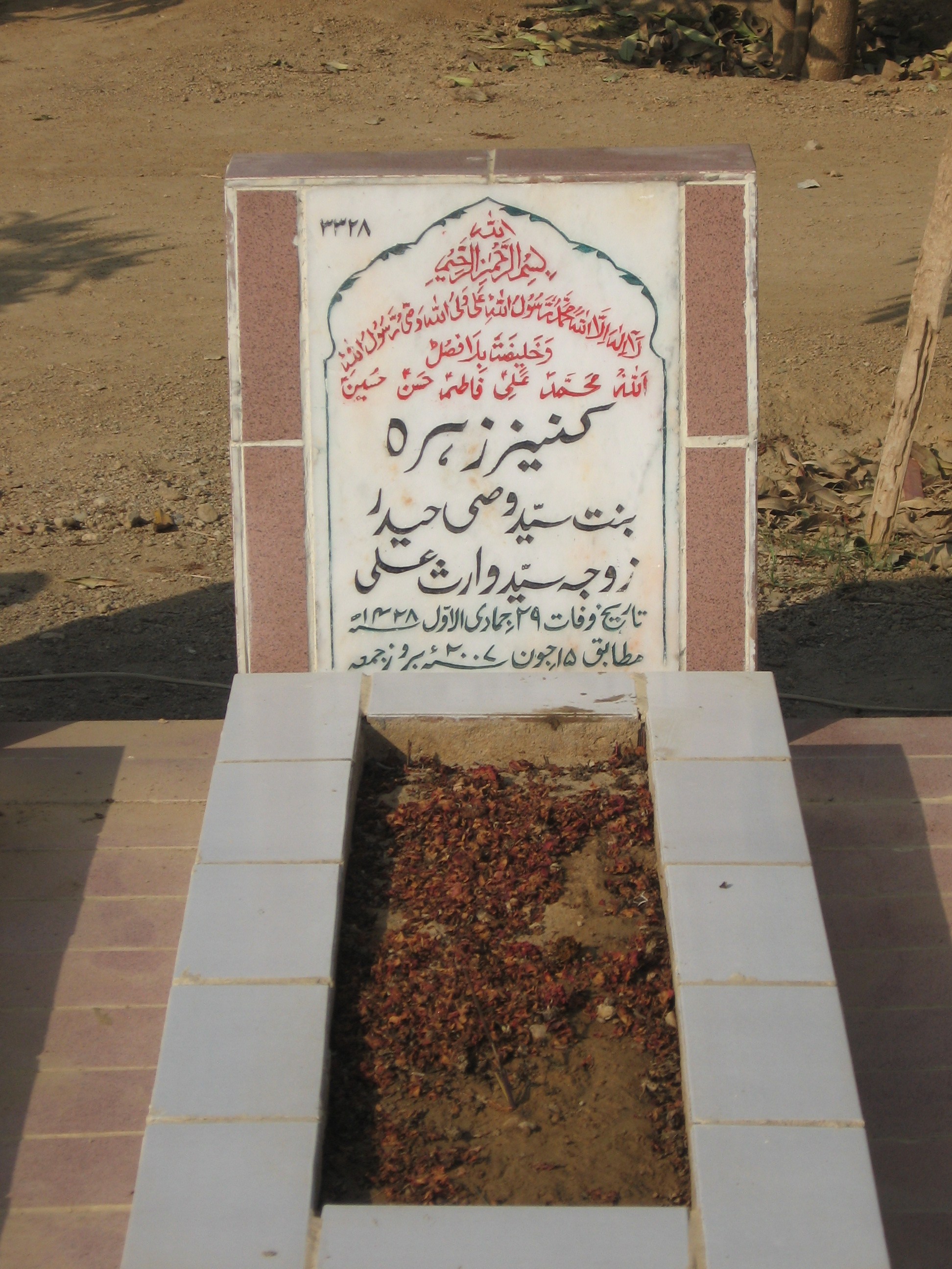 3328 – Kaneez Zehra