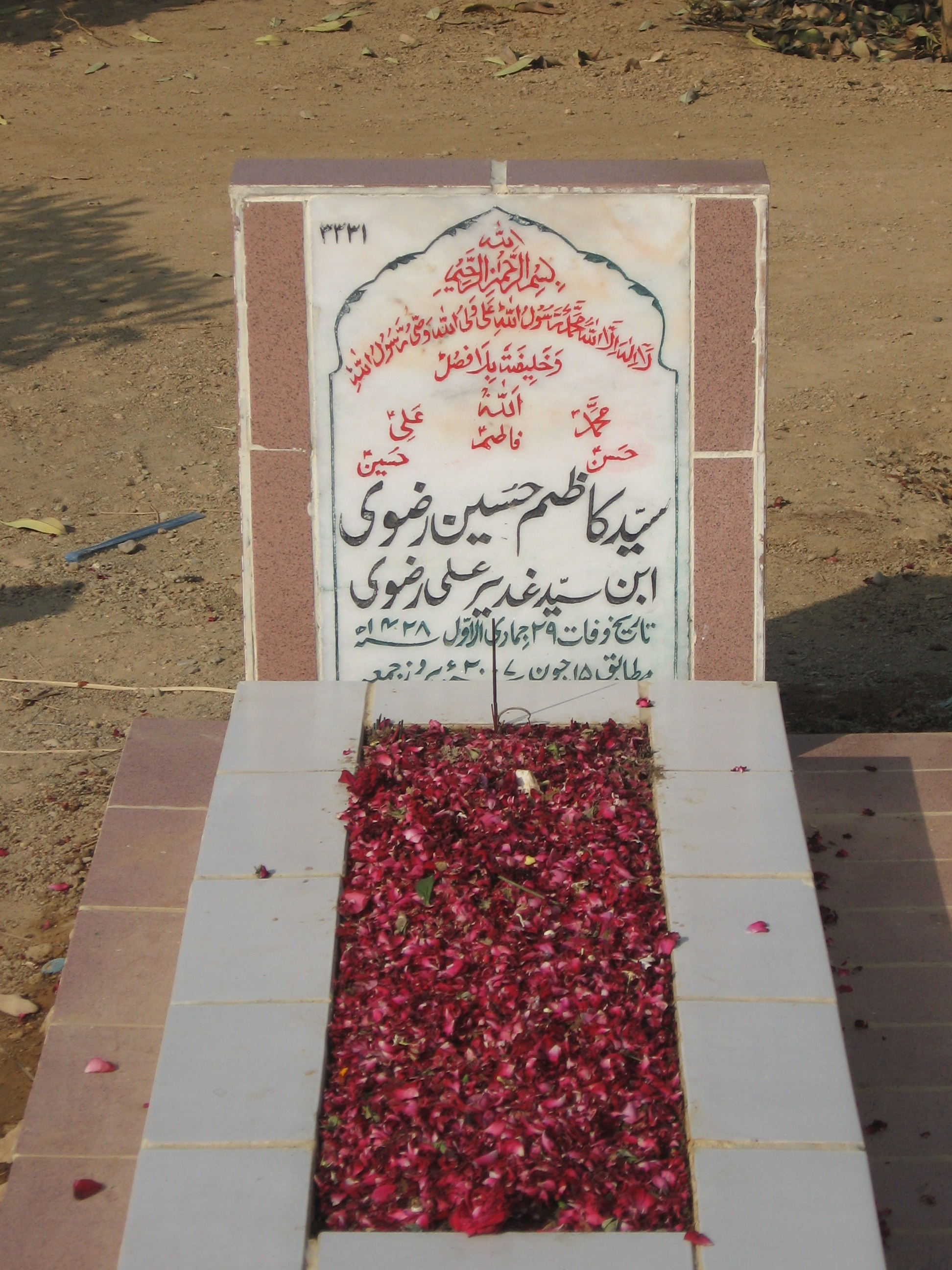 3331 – Syed Kazim Hussain Rizvi