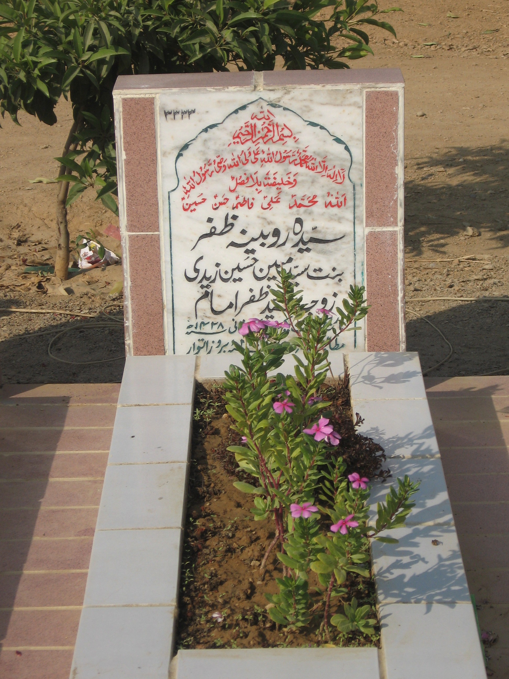 3333 – Syeda Rubina Zafar